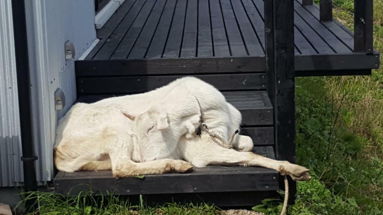 Asobi Lodge Kyotango Dış mekan fotoğraf